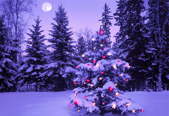 クリスマスの夜空に雪を降らせてみよう デジタルコンサルタントaws